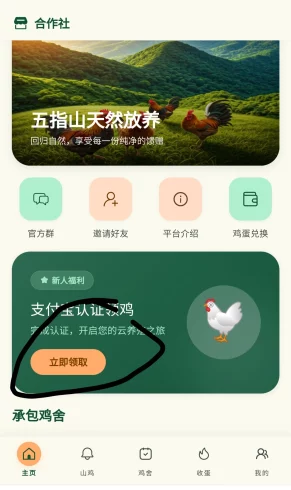 山鸡养殖,每天提0.5,抓紧上车-九五项目网